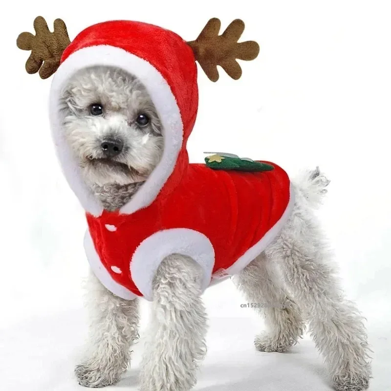 Christmas Dog Hoodie with Antlers 1