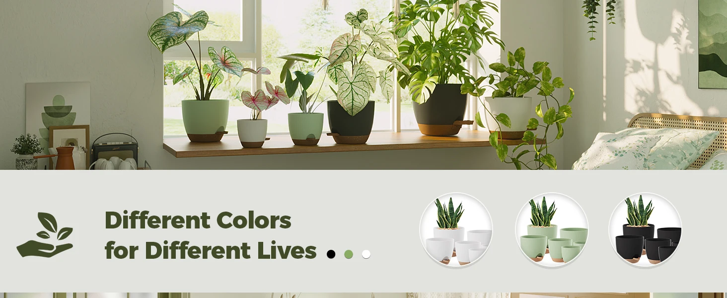 plant pot