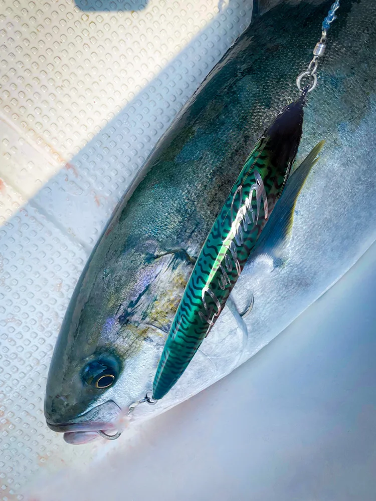 Kingdom GT Phantom schwimmende Bleistiftköder, 180 mm, 200 mm, 78 g, 115 g, Topwater-Meeresangelköder, künstliche harte Köder, Salzwasserangeln – Detail 1