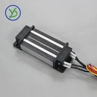 Élément chauffant 12V ~ 220V 200W 300W AC DC Thermos isolé PTC chauffage d'air en céramique 110V incubateur chauffage électrique 120x50mm 76A2 4