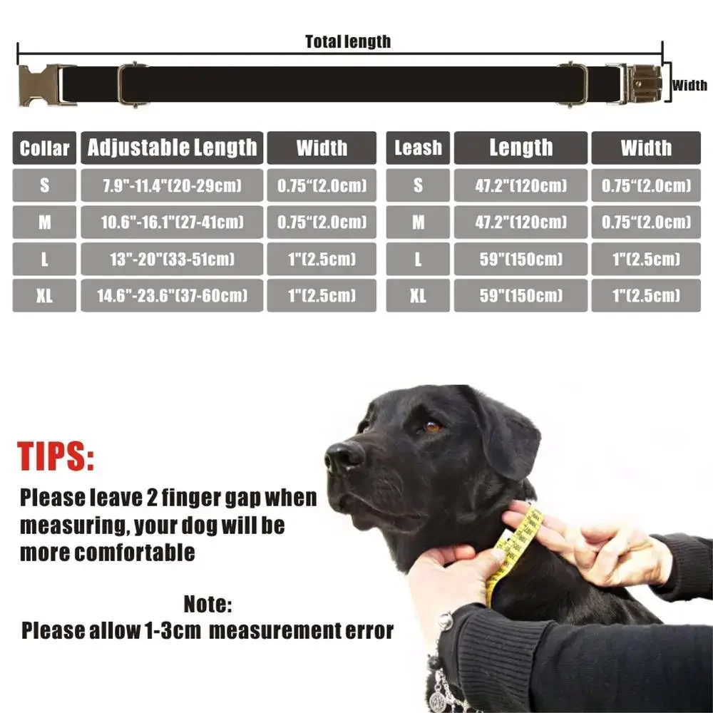 Dog Collar Personalized with ID Tag Adjustable Rose Gold Buckle