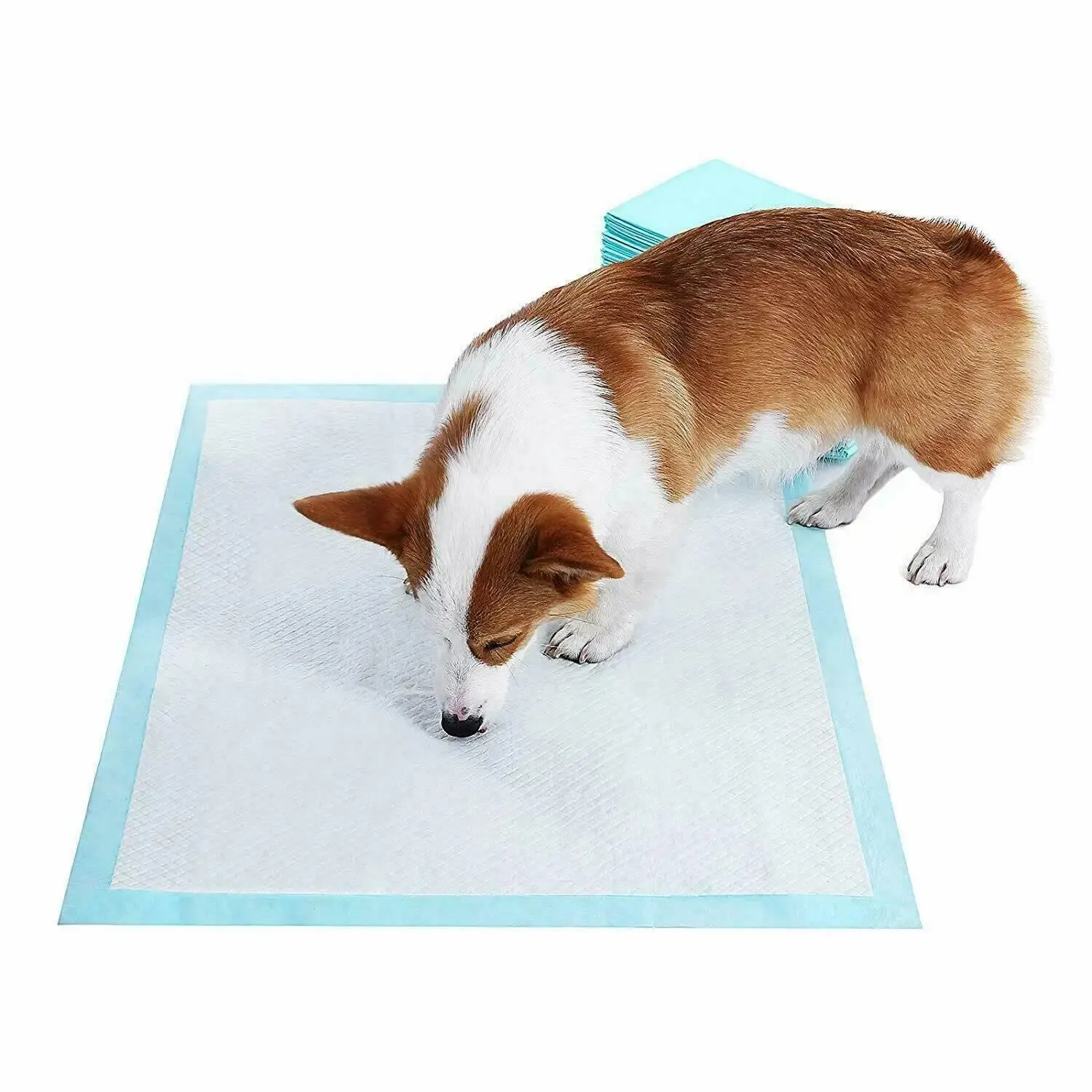20PcsDogPeePadsThickenSuperAbsorbentQuickDryLeakProofPuppy