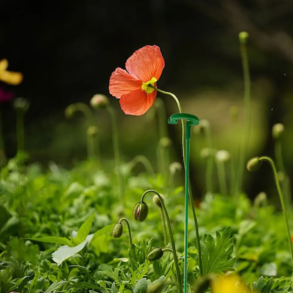 10/30 Pack 17/27/37/48cm Plant Support Stakes Reusable Plant Stakes Flower Stakes for Indoor and Outdoor Plants Flowers Tomatoes