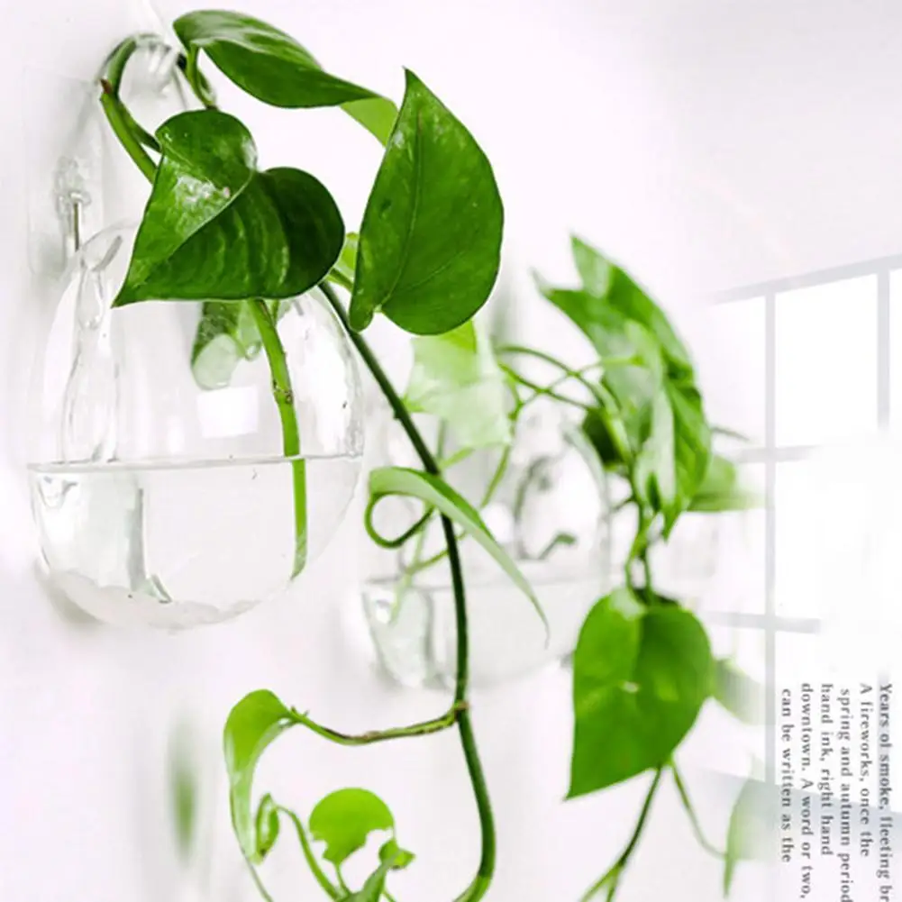 Acrylic Plexiglass Fish Bowl Wall Hanging Fish Tank Pet Products Wall Mount Tank For Betta Home Decor M6Q5
