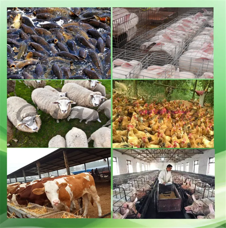 dsc-products