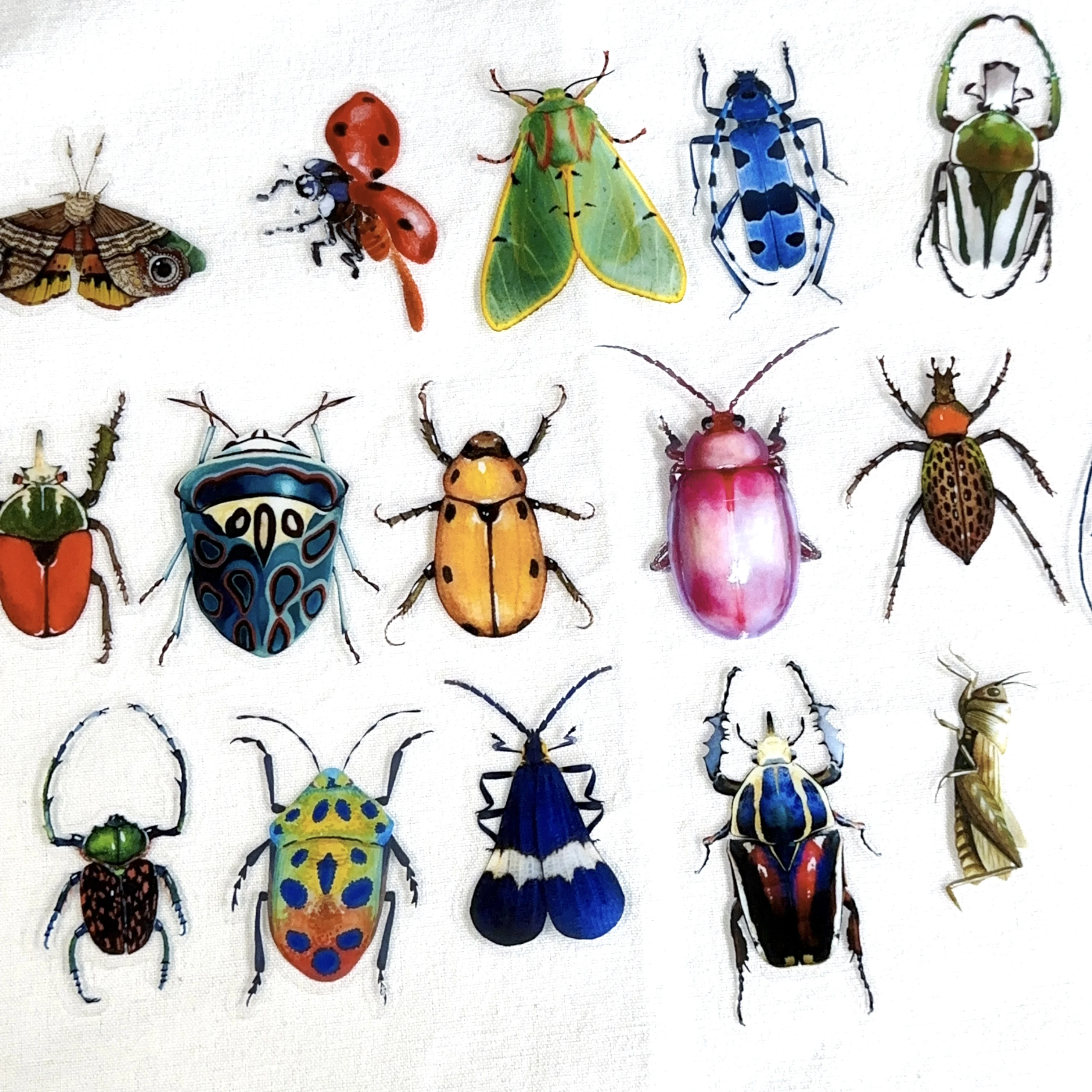 Slide image c16b769da75142b0bb7ffd1be37e0ad1