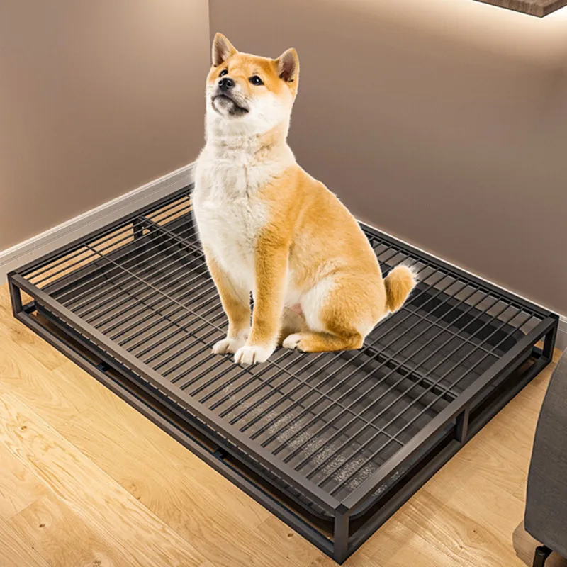 Gralara Dog Toilet, Puppy Training Potty Tray, Indoor Outdoor