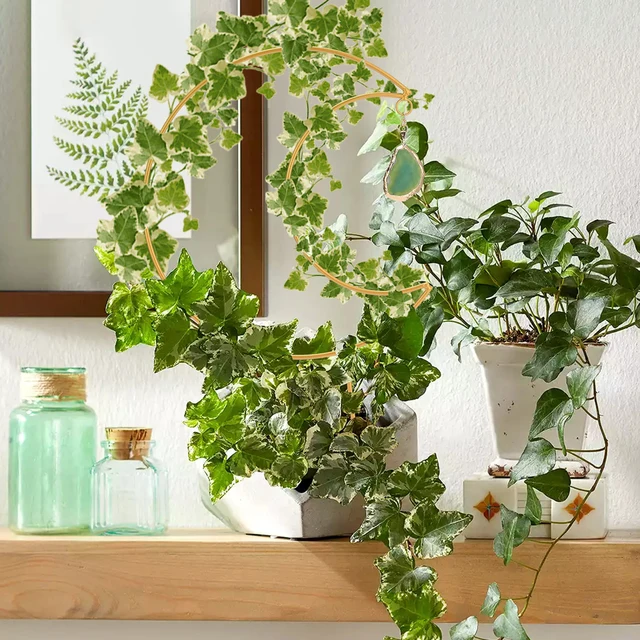 Hold Alakú Növényi Rácsos Hegymászó Virágállvány 20 Darabos Kábelkötéssel Tartós Kerti A Mászó Növény Beltéri Kültéri - Image 6