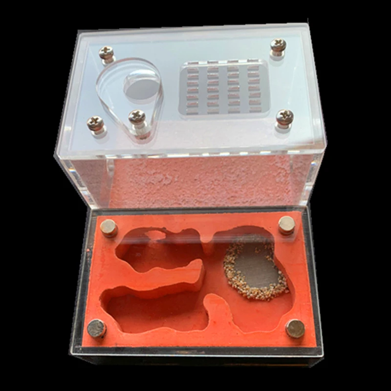 DIY Ecological Flat Ant Farm Acrylic Plaster Ant Nest Concrete Gypsum Mini Anthill Workshop Sand Castle Ant House 11cm*8cm*6.7cm