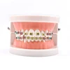 Dental Orthodontic Treatment Teeth Model With Bracket Arch Wire Buccal Tube Ligature Ties Dentist Lab Tooth Model Teaching Tools 2