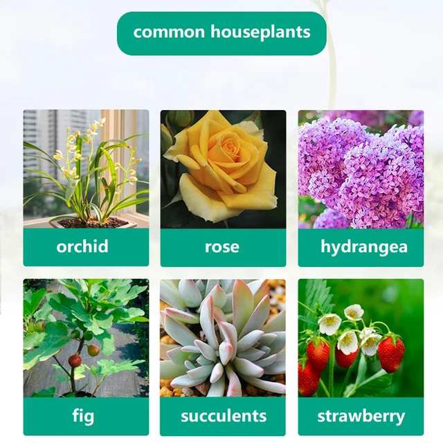 Az Összetett Mikrobiális Műtrágya Szerves Huminsav -Virág Növény Granulátumot Tartalmazó Nagy Aktív Baktériumok Javítása 90 G - Image 4