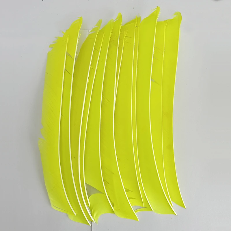 LW 50 Pcs Full Length (7-10 inch) Archery Fletches Natural Tureky Feathers Hunting Arrow Fletching for Bow DIY Accessories