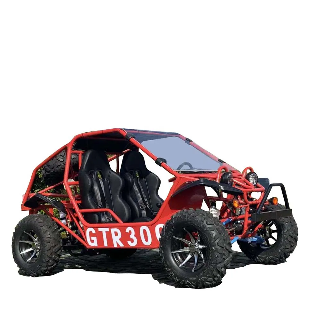 Cina 2023 350 Cc2 Posti 4 Quad 4X4 Beach Buggy Moto Mountain Fuoristrada Adulto Racing Go Kart