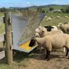 Wall Mounted Livestock Hay Rack for Farm Animals,Goats,Sheeps,Horses 2 in 1 Heavy-Duty Steel Hay & Grain/Salt Feeder Holder