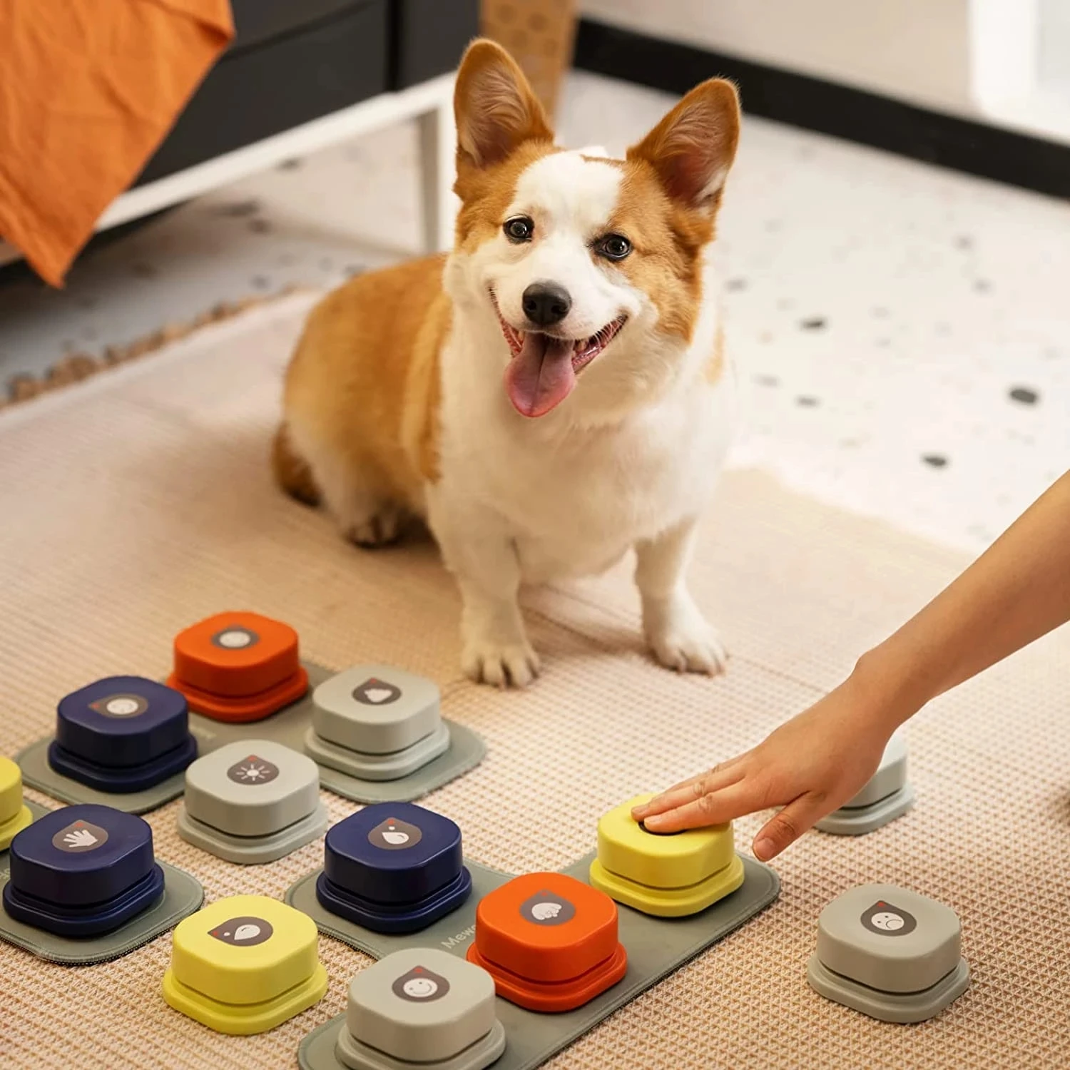 

Dog Toys Chews Dog Button Record Talking Pet Communication Vocal Training Interactive Toy Bell Ringer with Pad and Sticke