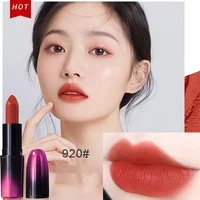 17 Color Matte Lipstick Waterproof Long Lasting Non Stick Cup Lip Stain Tint Cosmetic Moisturizing Soft Mist lip gloss Makeup 5