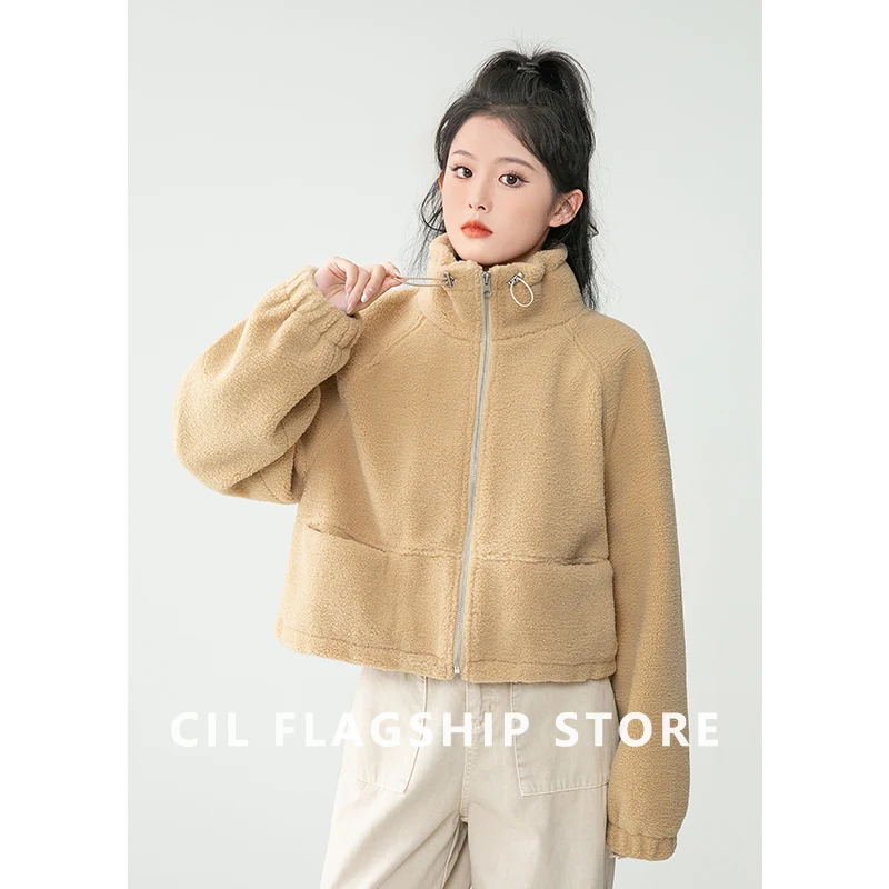 

Women Winter New Stand Collar Casual Short Coat Solid Zipper Cardigan Simple Female Streetwear Top Trend Office Lady Chic