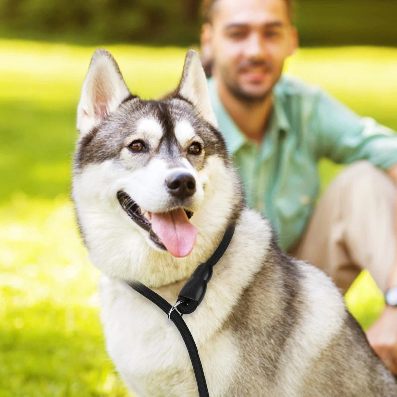 Title 5, Benepaw Adjustable Slip Dog Collar Sturdy Safe ...