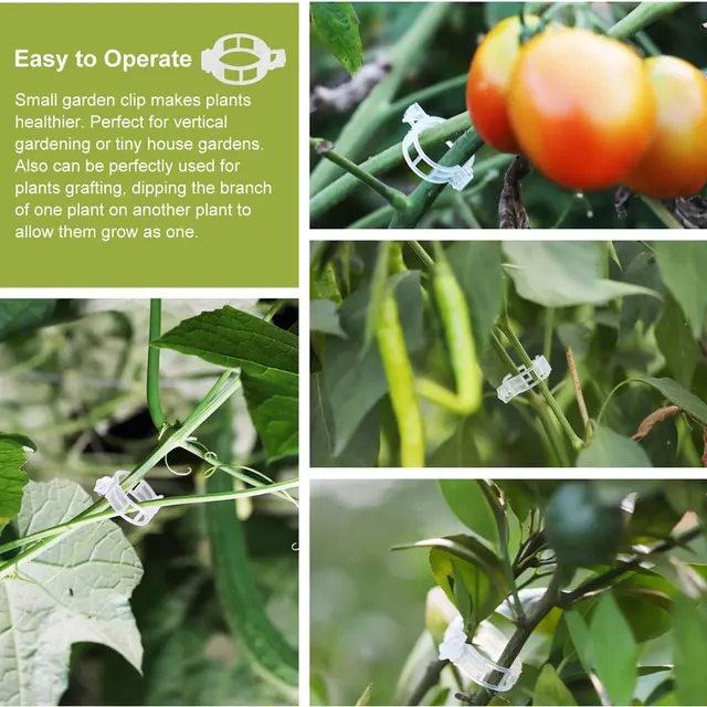50/100 Darabos Növénytámogató Kerti Klipek Műanyag Szőlő Rácsos Klip Ravaszító Rögzítő Bilincsek Paradicsom Uborka Virág Squash - Image 5