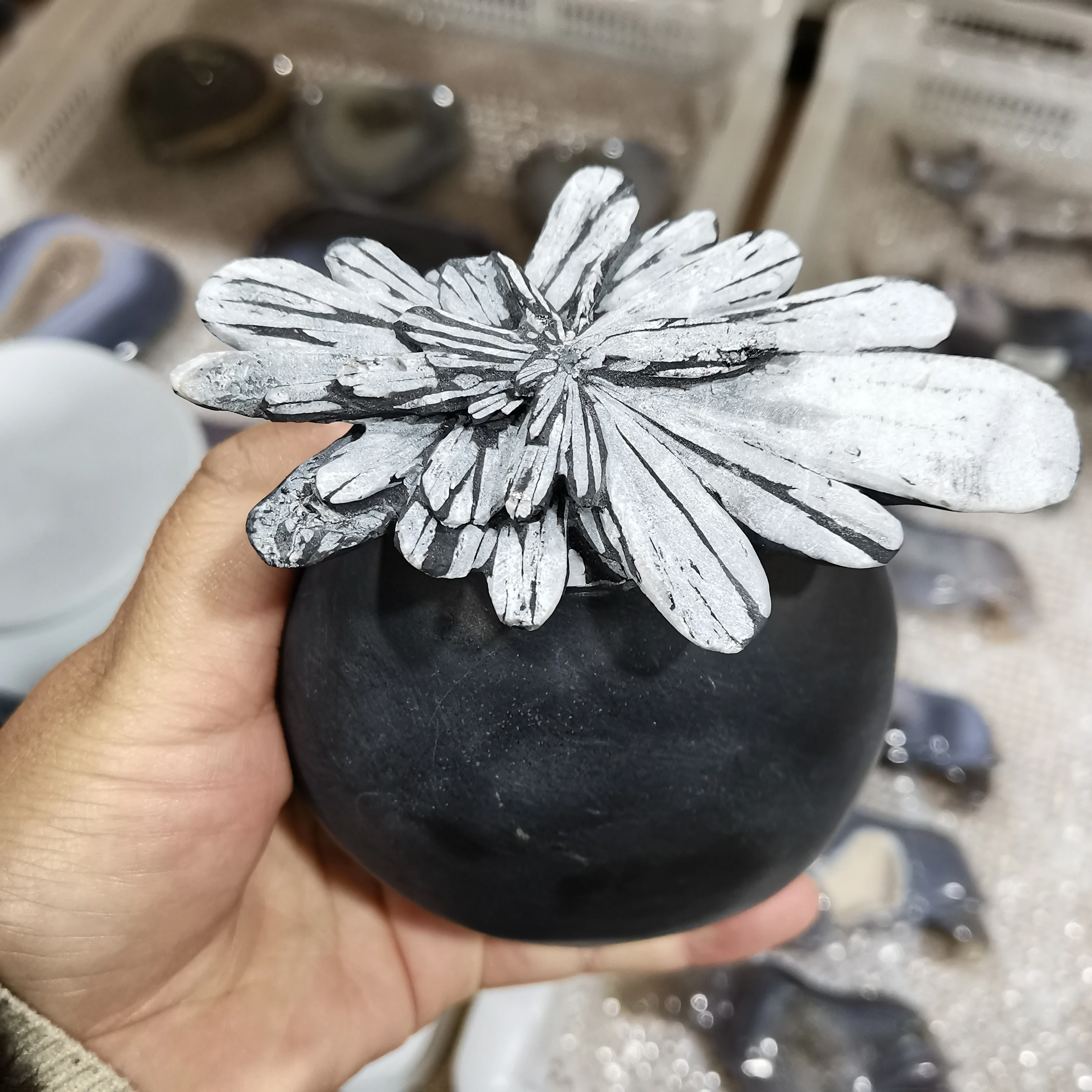 

Natural Chrysanthemum stone Crystal Gem Wizard Spiritual Energy Healing Meditation repair Reiki healing Home Decor