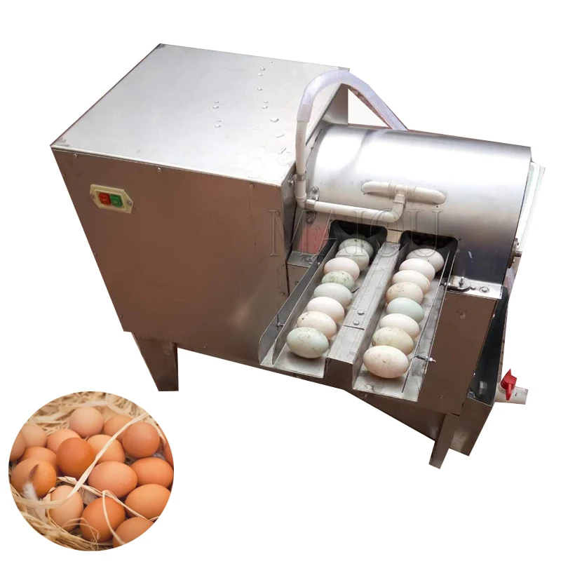 

Double Row Commercial Automatic Small Chicken Duck Goose Egg Cleaning Machine