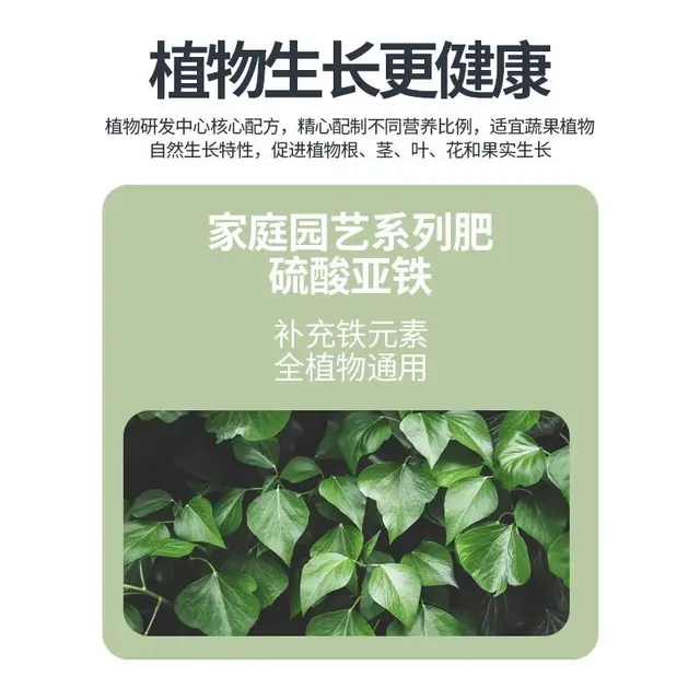 Vas Szulfát Virág Műtrágya Granulátum Általános Célú Jázmin Azalea Kerti - Image 5