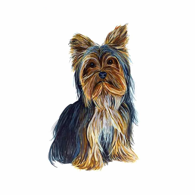 

Cute Long-haired Pet Dog Car Sticker PVC Fashion Bumper Windshield Accessory Exquisite Auto Decal Motorcycle Laptop Decoration