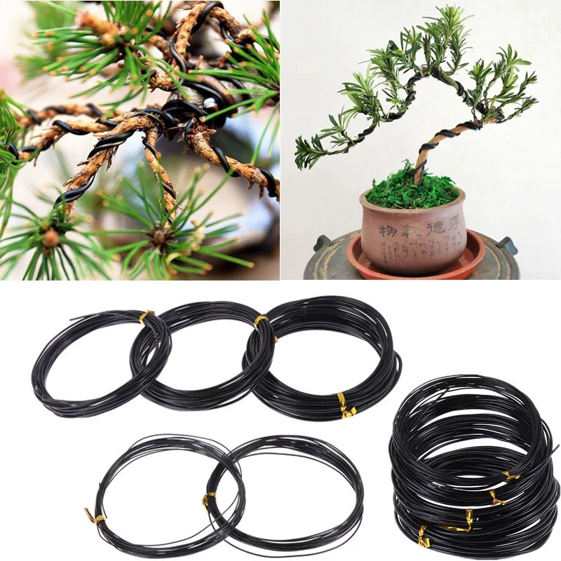 Bonsai Wires 5meters Wire Twist Ties for Bonsai Vine Training Tool Garden Cable Climbers Slicer Bonsai Plant Contral Wire Garden Accesssories