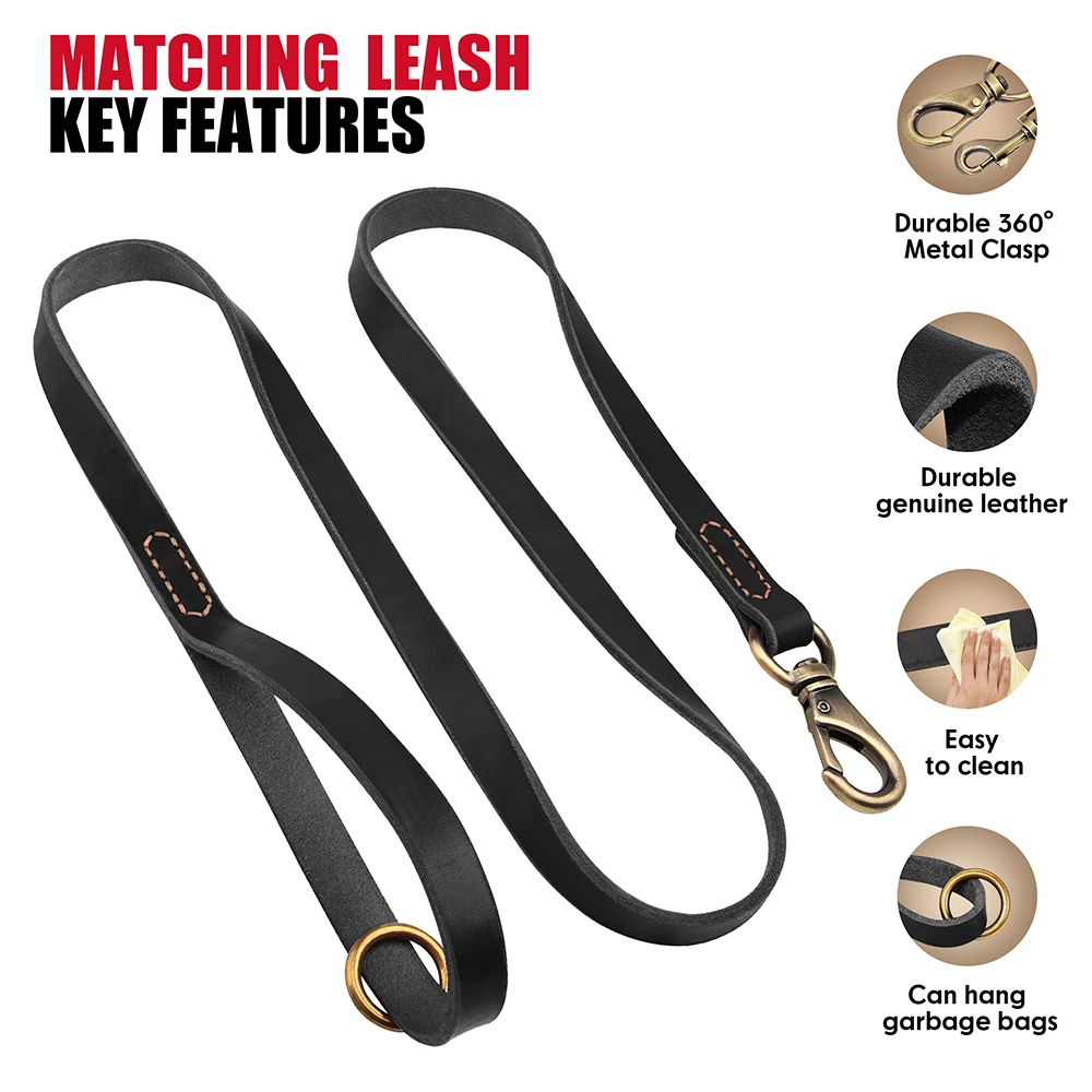 black leash