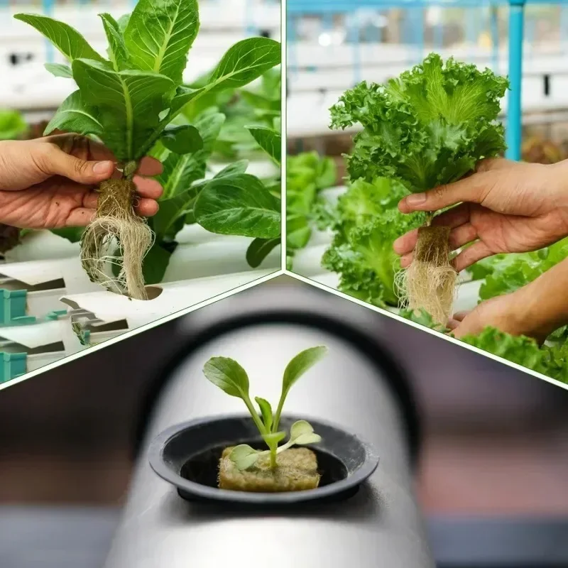 Hydroponic Grow Media Cubes 50/300PCS Planting Sponge Stone Wool Starter Plugs Hydroponic Grow Media Cubes Home Greenhouse Garden Supplies Seedling Block hydroponic grow media cubes,seed starter plugs