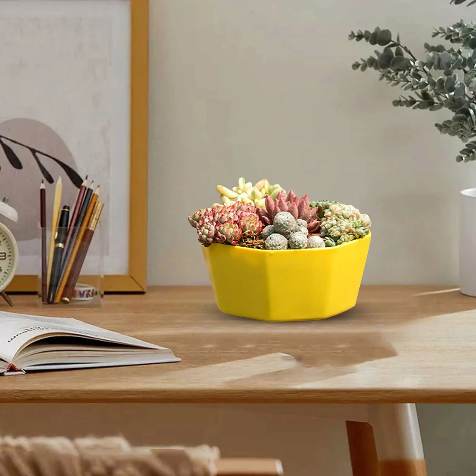 Set of Decorative Indoor/Outdoor Plant Pots with Drainage Saucers