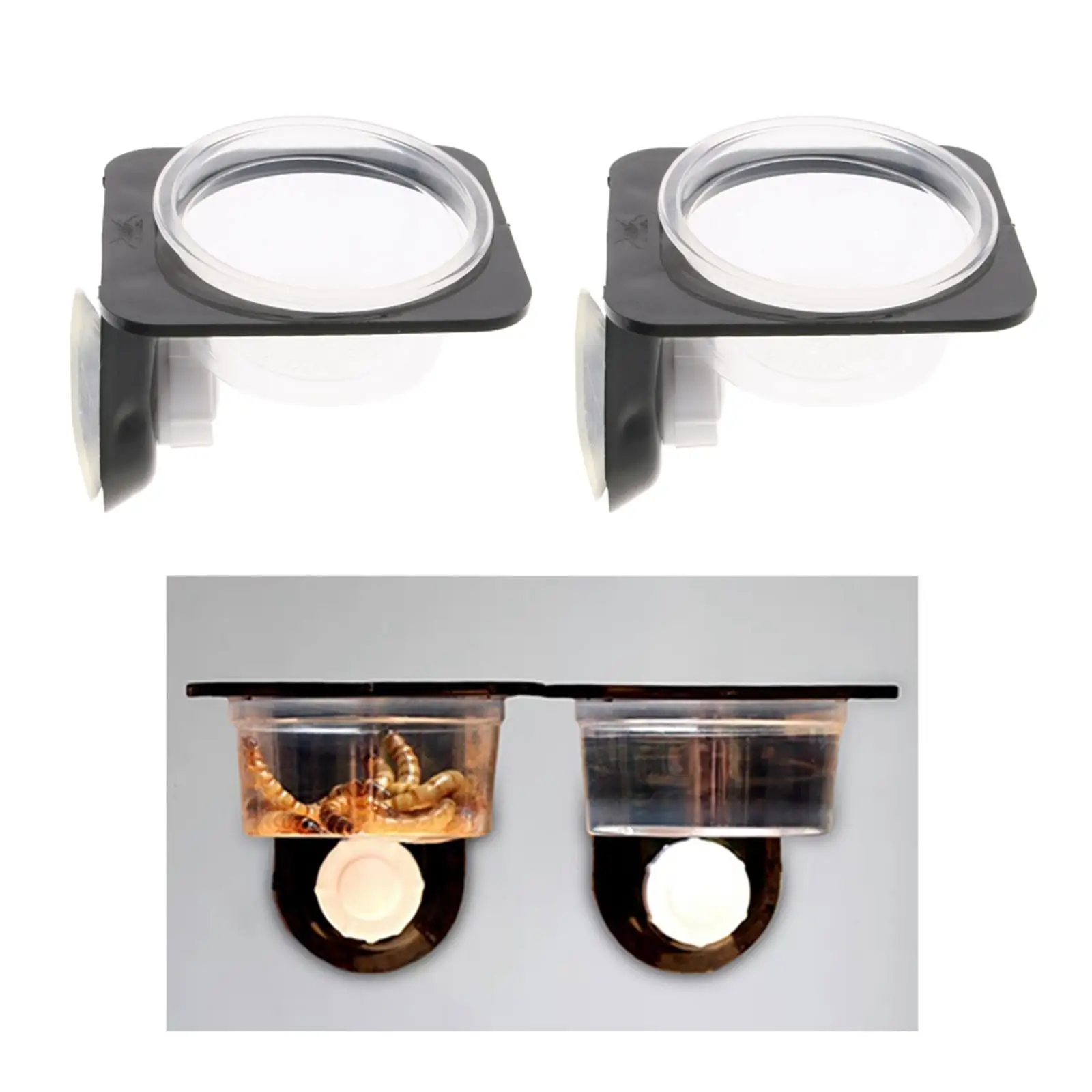 1 Pair Plastic Diameter 6cm Round Bowls for Amphibians Gecko Turtle