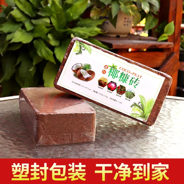 650 G Kókuszdió -Tégla Tápanyag Talaj Univerzális Típusú Virágtenyésztés Zöldség Sótalanított Virág Tégla Teknős - Image 4