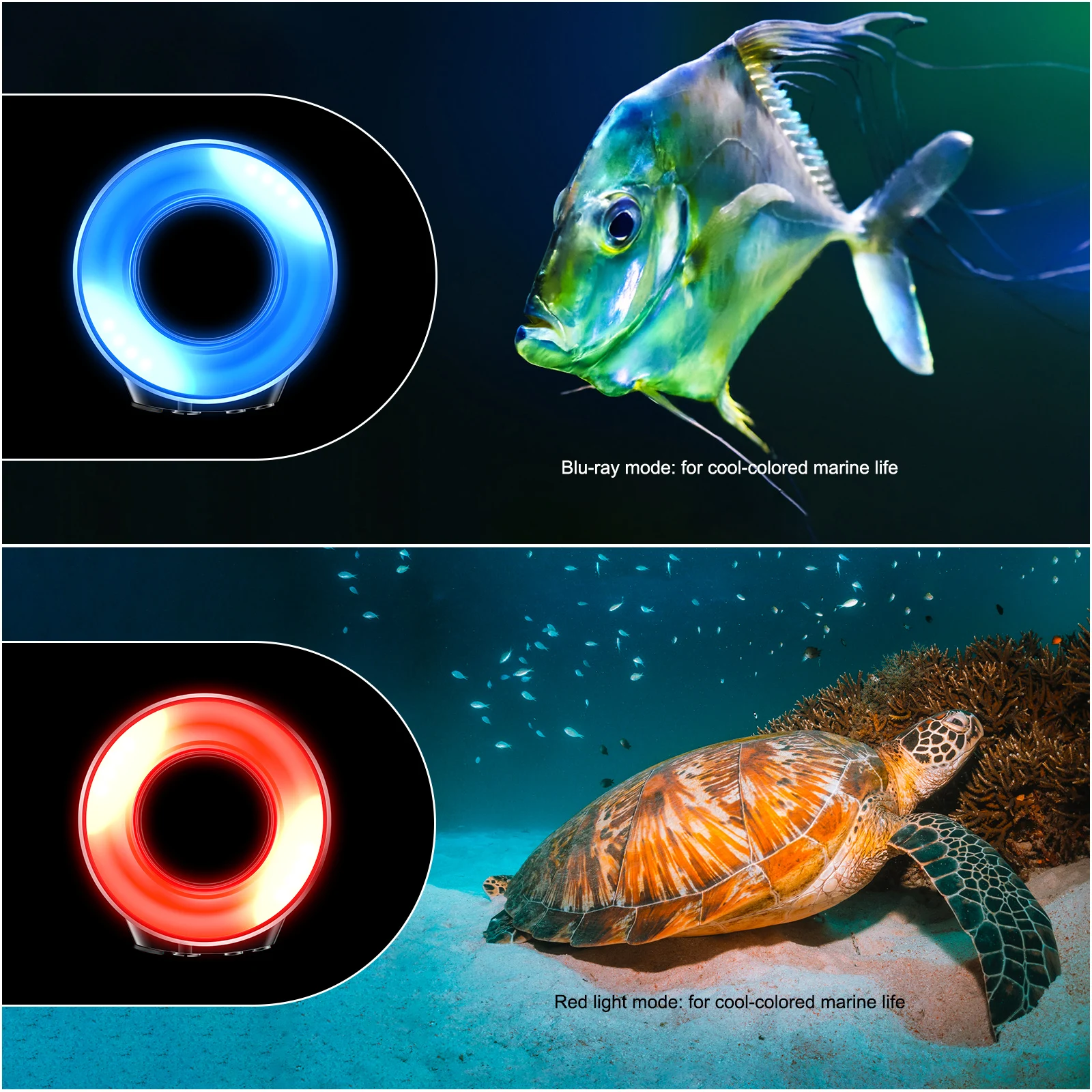 Camera flash Strbea 1200LM ring light underwater flash general camera 67mm threaded lens 5 modes 4 colors with USB charge waterproof