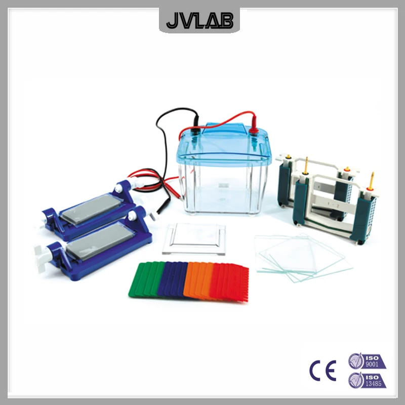 

Protein Electrophoresis Cell P4 Vertica Protein Electrophoresis Tank DYCZ-25E For SDS-PAGE Experiment