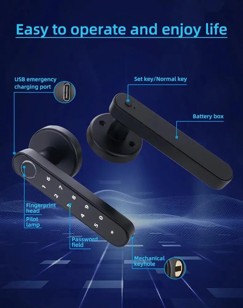 Fingerprint Door Lock Tuya Bluetooth Smart Password Mechanical Key Unlocking For Wooden Door Single Handle Smartlife