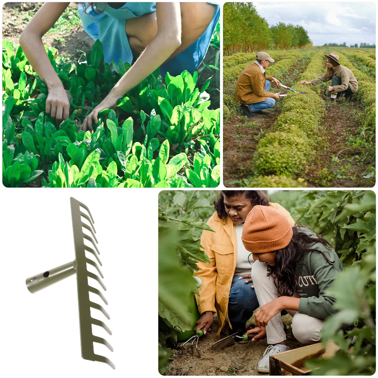 Ergonomic Garden Rake Durable Tines Lawn Levelling Rake Small Garden Hand Tool Leaf Rakes For Farming