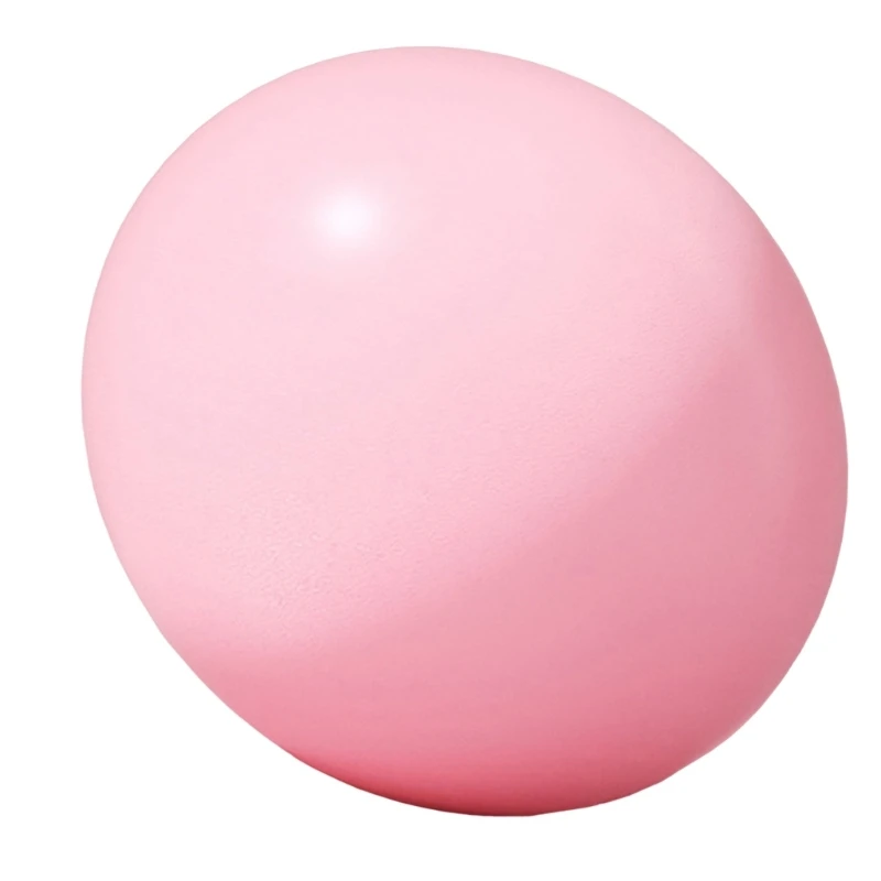 Yoga Ball Gym Ball for Home Gym Pilates Yoga Training, 25cm 10Inch