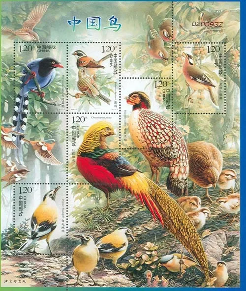 6Pcs/Set New China Post Stamp 2008-4 Birds Stamps MNH 6Pcs/Set New China Post Stamp 2008-4 Birds Stamps MNH