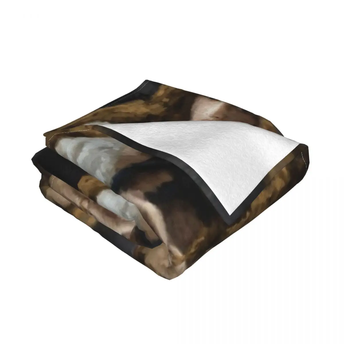 �ﷹ�� ���� ī�� ��Ƽ�� ��� ħ�뺸, ħ�� �� �β��� ħ�뺸