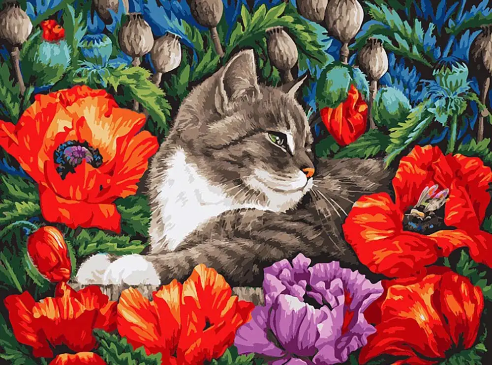 Painting By Numbers Cat In Маках ", 30x40, Snow White, 183 As Picture ...