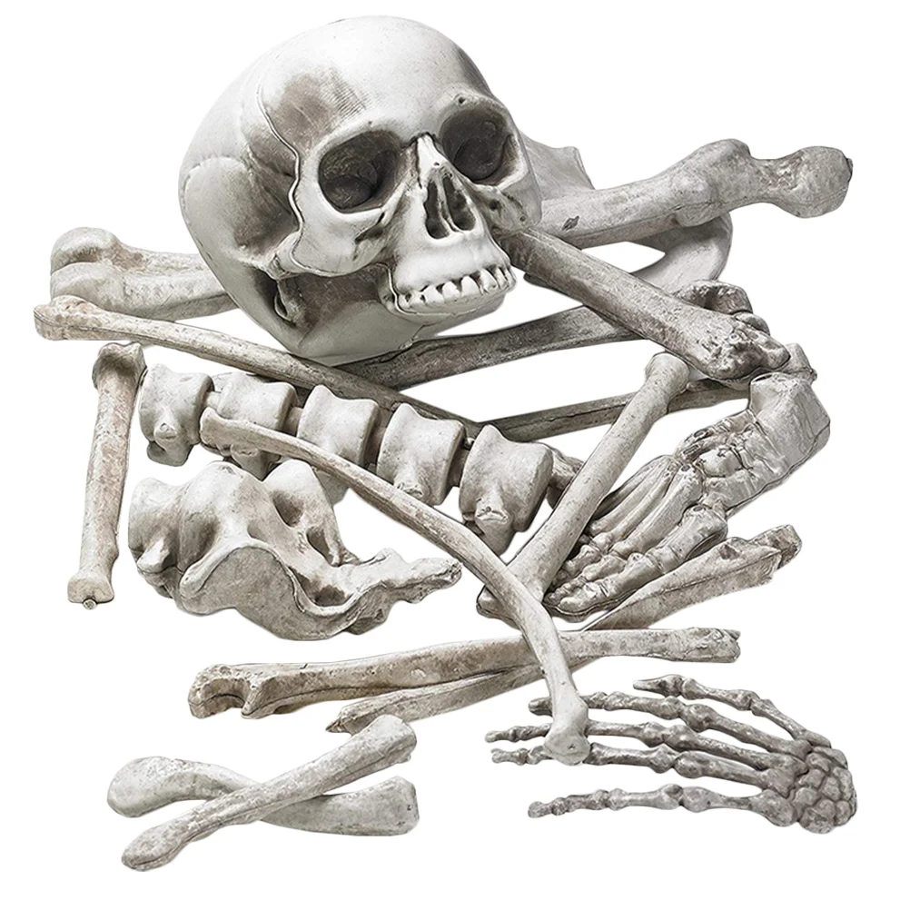 

Skull Bones Decoration Humans Ornaments Plastic for Halloween Haunted House Prop