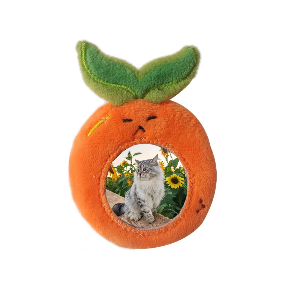 Photocard Holder 1/3 Inch Cartoon Orange Shape Plush Photo Bus Card Protective Cover