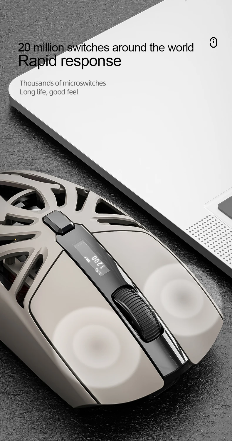 lightweight mouse for PC and laptop