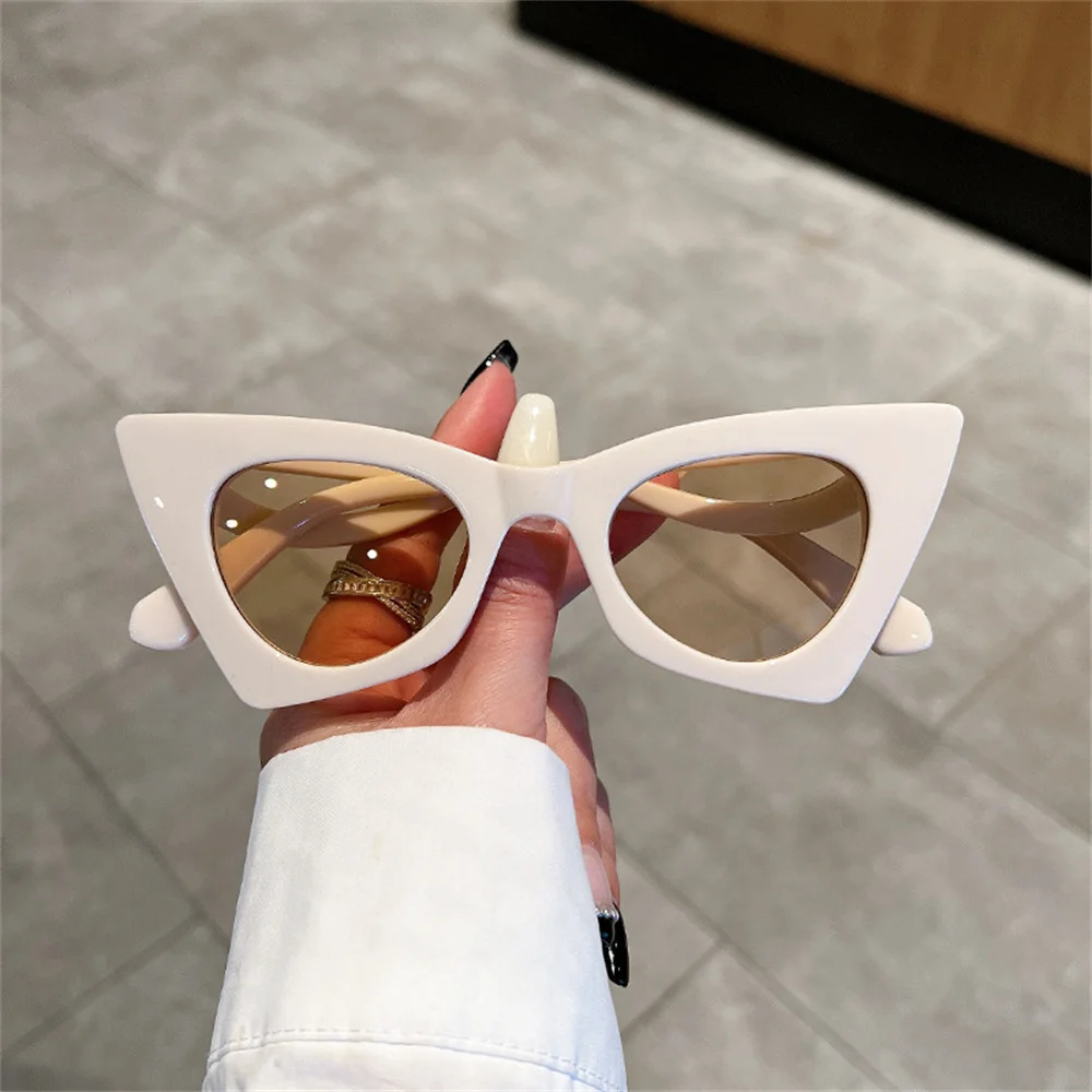 New Oversized Butterfly Shape Cat Eye Full Frame Sunglasses Colorful Vintage Personalized Trendy Female Eyewear Popular Shades