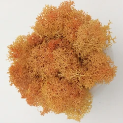 High - Quality Green Immortal Moss Artificial Grass for Home and Garden Decor (Orange)