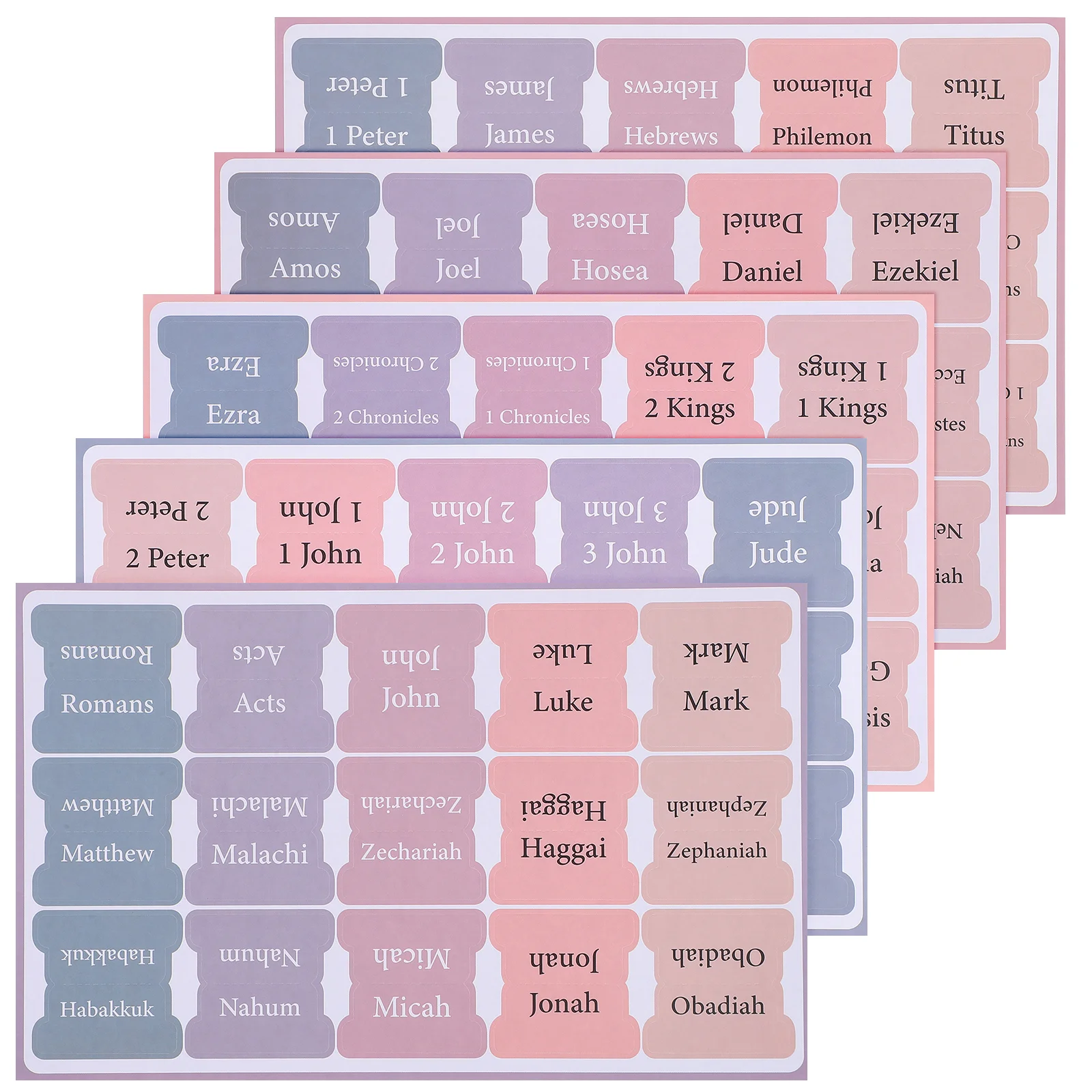 

Bible Tabs Bible Book Tabs Bible Chapter Tabs Bible Index Tabs Bible Tabs For Kids Men Women Bible Index Tabs