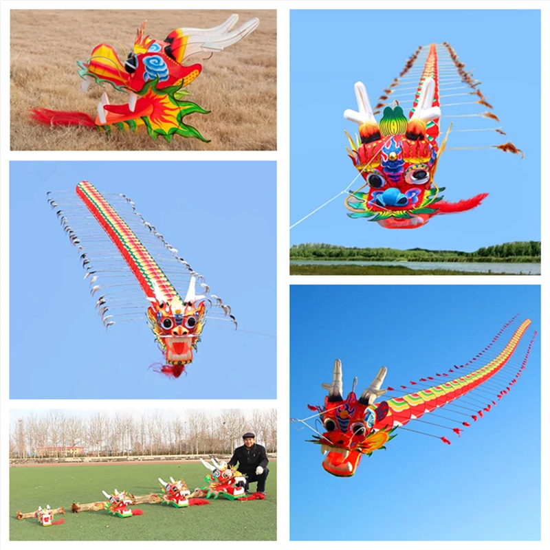 Nouveau cerf-volant géant pour adultes, livraison gratuite, vent  professionnel, carpe, usine chinoise traditionnelle - AliExpress
