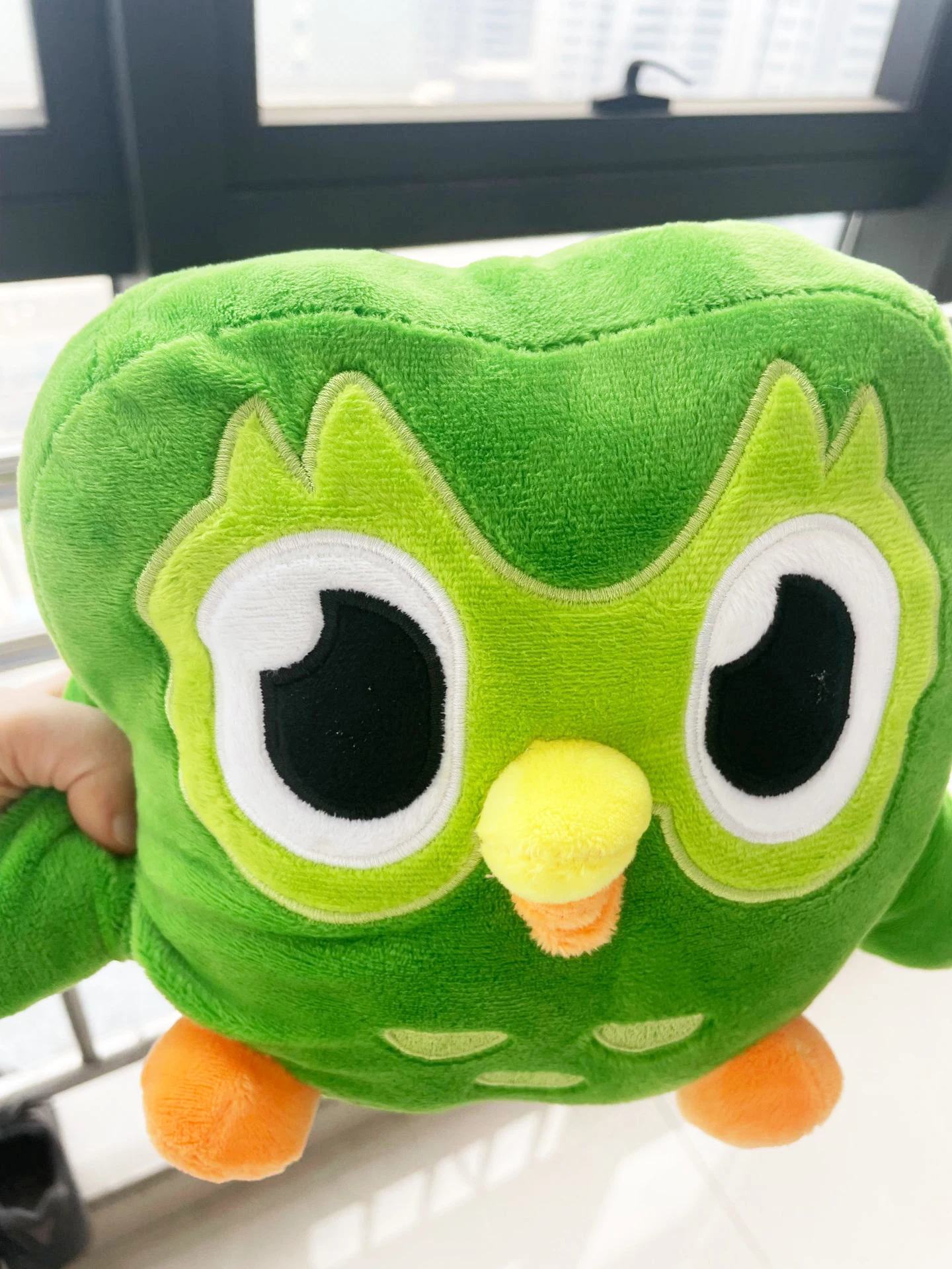 Green Theatre-Duolingo Butter Duo, Animal en peluche, Mascotte de langue de  dessin animé, Super cadeau d'anniversaire pour les fans d'enfants -  AliExpress