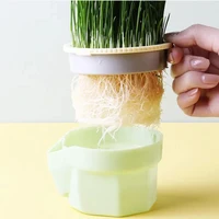 New Pet Cat Sprout Dish Growing Pot Hydroponic Plant Cat Grass Germination Digestion Starter Dish Greenhouse Grow 3